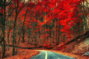 一个新网站要怎样才可以提高流量呢