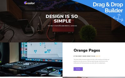专业网站建设团队：提供优质的设计与开发服务
