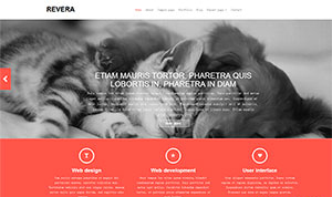 全面提升搜索曝光：网站建设与综合SEO推广战略合作