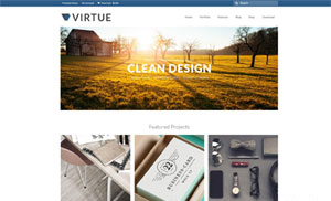 综合性网站建设与设计方案推荐