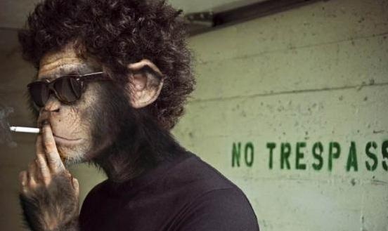 全世界程序员编程水平排行榜.中国第一名.牛逼 