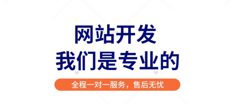 网站开发