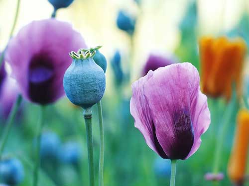 外贸建站注意事项